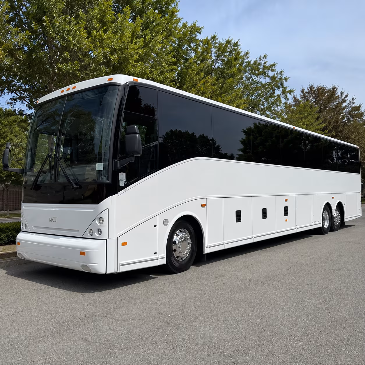bus rental options for vista trips